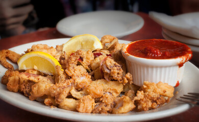Fried calamari and tomato sauce on white plate served at an Italian restaurant