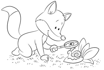 Ein niedlicher Fuchs untersucht eine Schnecke mit einem Vergrößerungsglas - 527355845