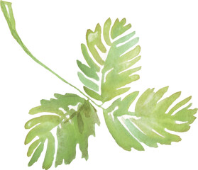 Watercolor leaf