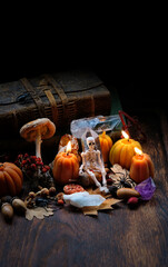 skeleton toy, pumpkin candles, crystals and magic things on abstract dark background. witch...