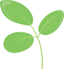 Green leaves branch. Cartoon plant part. Nature symbol