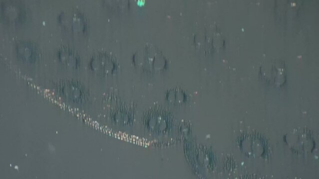 Microscopic footage of monocotyledon stem filmed with 200 times magnification and oblique lighting. Exploring piece of simple plant under special scientific device in a lab for viewing its cells