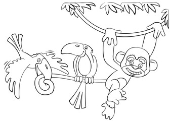Monkey and toucan. Element for coloring page. Cartoon style.
