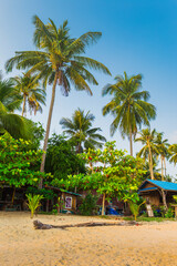 Naklejka premium Beautiful tropical beach at island Koh Chang