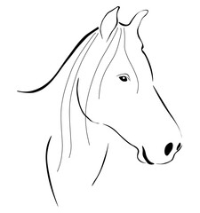 Tête cheval stylisée animal jument étalon poulain
