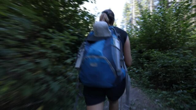 Girl hiker walks on a path of an alpine forest. Adventure Backpacking in Val di Genova in the Adamello Brenta Park near the Nardis waterfalls, Trentino, Italy