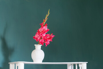 pink gladiolus in white vase on background green wall