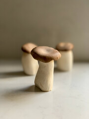 Three king oyster mushrooms in morning light on marble counter