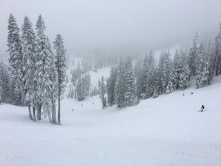 Powdery Tahoe winter wonderland