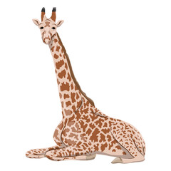 African giraffe lies. Wild animals of Africa. Realistic vector animal
