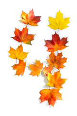 Number 4 from of colorful autumnal maple leaves on white background. Top view, flat lay