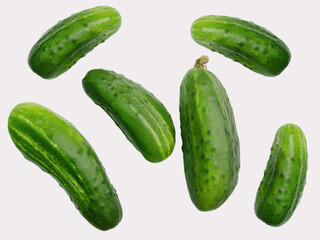 cucumbers on a light background, vegetables
