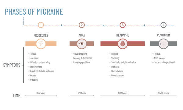 Infographic About The Stages Of A Migraine: Duration Of Each Stage And Symptoms In Each Phase.
