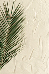 Obraz premium Summer minimal background, top view natural green palm leaf on fine sand. Summer aesthetic photo pale beige colored with palm plant, copy space, nobody, vacation and relaxation concept.