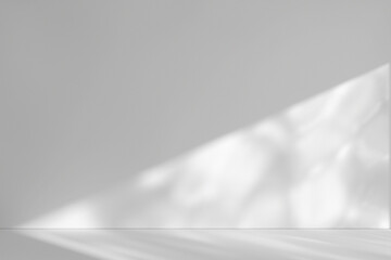 Shadow of Window and Sunlight on Empty Room White Wall and Floor. 3d Rendering