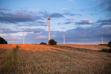 Autumn field with a wind farm at sunset