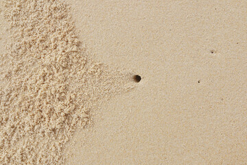 crab's holes on sea sand background