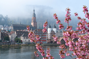 Alte Brücke (Old Bridge) in Heidelberg in spring