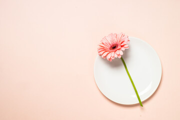 White plate and pink flower. Spring or summer table setting. Top view. - Powered by Adobe
