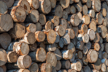 Sawn birch logs stacked in piles.