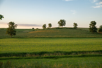 Green fields in the rolling countryside of Amish country, Ohio