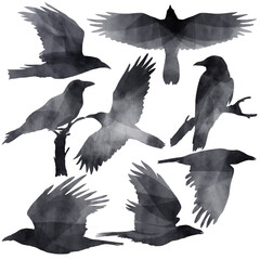 Obraz premium Set of black watercolors ravens in different poses, flying black birds flat animal illustration isolated on PNG transparent background.