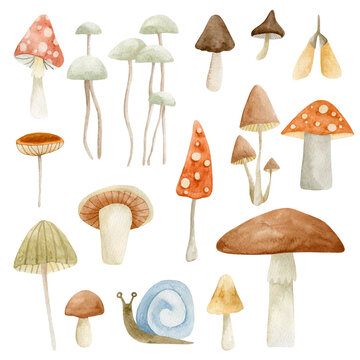 Set of watercolor illustrations mushrooms isolated on white background.