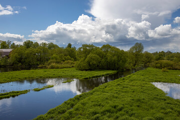 Fototapeta na wymiar Bright sunny day. Landscape with river and green grass and trees. Juicy greenery after the rain.