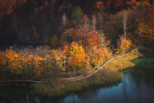 Colorful Autumn Season In Plitvice Lakes National Park From Croatia.