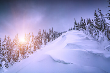 Beautiful winter nature landscape - 527393429
