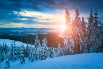 Colorful winter sunrise - 527393605