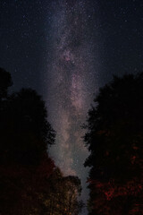 Beautiful milky Way galaxy above a forrest 