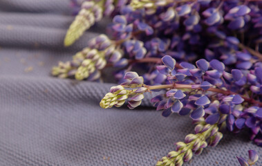 lilac lupines lie on a blue plaid. close-up