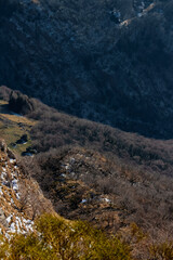 Forest Hill Green Landscape in Alpine Mountains