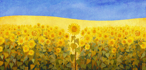 A field of sunflowers in the colors of Ukranian flag. Hand painted illustration - 527401420