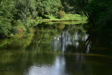 Fototapeta rzeka, Czarna Nida, woda, potok, zieleń obraz