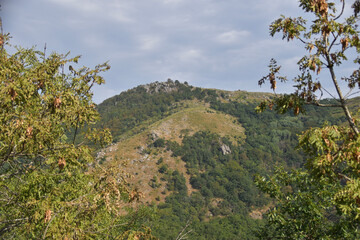 A scenic mountain landscape framed by tree branches, with a grassy hilltop and rocky outcrops under a partially cloudy sky, highlighting natural beauty