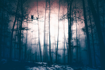 Magic night in the woods. Halloween concept.