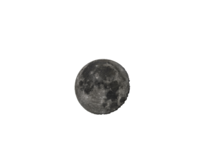 Los Angeles, CA, USA – July 15, 2022: A Waning Gibbous moon begins its descent in the early morning hours over Los Angeles, CA.