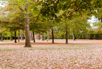 LONDON, ENGLAND - AUGUST 30, 2022: West Ham Park , London, Grass looking like straw due to the current summer heatwave
