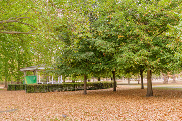 LONDON, ENGLAND - AUGUST 30, 2022: West Ham Park , London, Grass looking like straw due to the current summer heatwave
