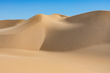 Namibia, the Namib desert, graphic landscape of yellow dunes, background
