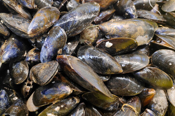 Mussels for sale at a market stall