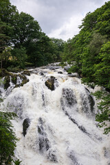 waterfall in the forest