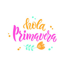 Hola Primavera (Hello Spring) handwritten text in Spanish or Brazilian Portuguese isolated on white background. Trendy script lettering design. Modern brush calligraphy. Vector illustration 