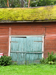 Old wooden garage with turquoise double doors and bright green moss on the roof