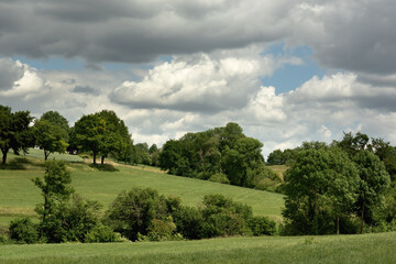 Rolling countryside with meadows and trees under a cloudy sky.