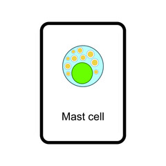 Mast cell cellular schematic structure vector illustration, eps10 icon