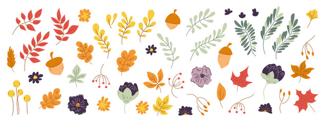 ig doodle set of hand drawn autumn floral design elements. Fall elements leaves, flowers on white background for autumn fall, agricultural harvest, Thanksgiving or Halloween designs