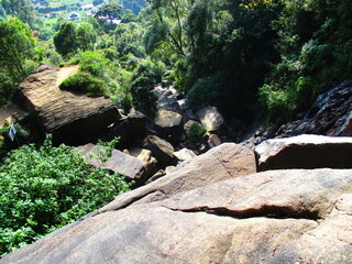 rocks in the forest